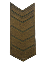 Шеврон по годам службы (годовка) 22 года службы (выслуги лет), 6х14 см