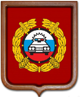 Герб ГИБДД РФ 53х61 см, печатный, рамка светлое дерево