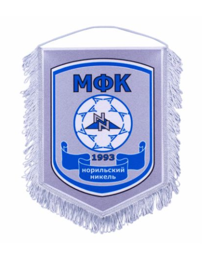 Вымпел мягкий печатный с бахромой, 30х40 см